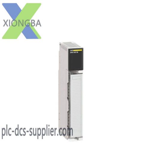 Schneider 140CHS11000: Hot Standby Module for Reliable Automation Systems