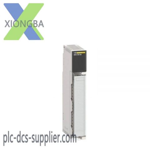 Schneider Electric 140CPS12420C: Power Supply Module for Quantum PLCs