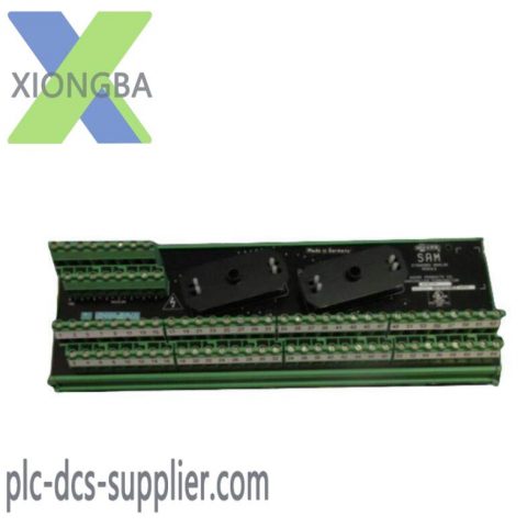 Moore 16169-1-07 SAM: Industrial Analog Module for Precision Control