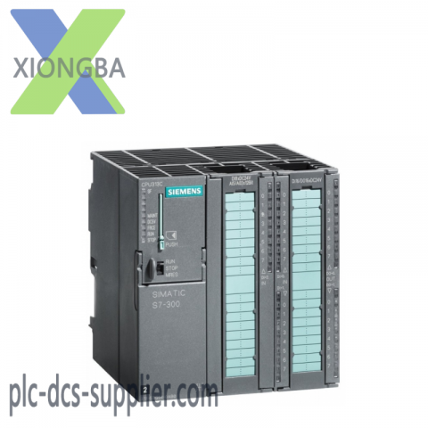 SIEMENS S7-300 CPU313C, Advanced Control Module