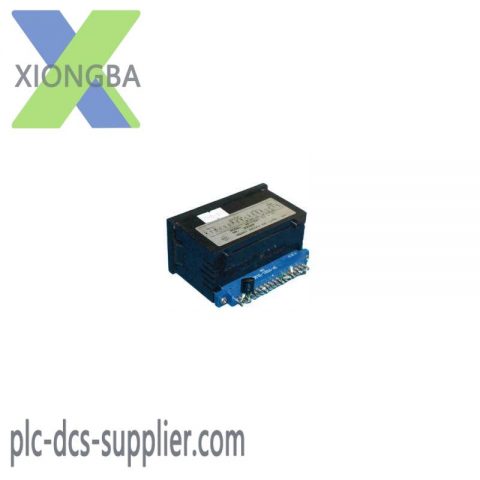 ASAHI KEIKI AP102-13-11: High Precision Panel Meter, Designed for Industrial Automation