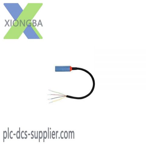 E+H CYK10-G101 | High Precision Digital Measuring Cable for Industrial Automation