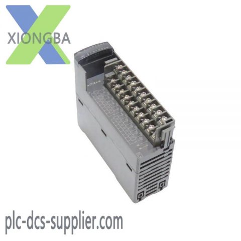 Fuji NP1Y16R-08 Digital Output Module, Advanced Control Solutions for Industry