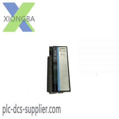GE IC660BBD024 & IC660EBD024 Source Block - High-Power Input/Output Module