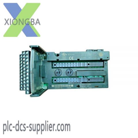 GE IC200CHS022J: Advanced Analog Input Module for Industrial Control