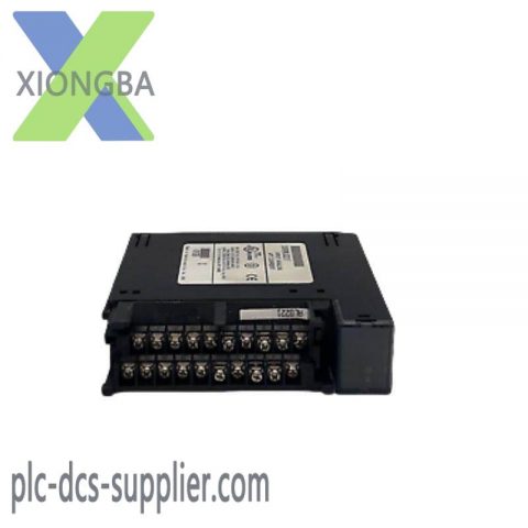 GE Fanuc IC693ALG221F: Advanced Analog Input Module for Industrial Automation, 200 Characters