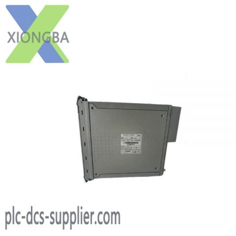 ICS TRIPLEX T8431C - Analog Input Module with 40 Channels and Paint Coat