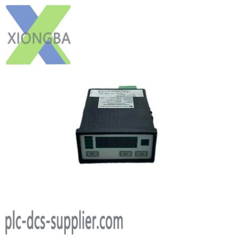 Negele Prozessoren-Anzeige DPM-GS-2GW-S Digital Display, NEGELE-DPM-GS-2GW-S