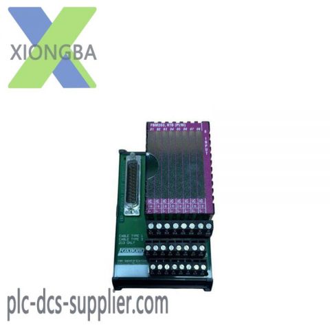 FOXBORO I/A Series P0916AEOC Terminal Card