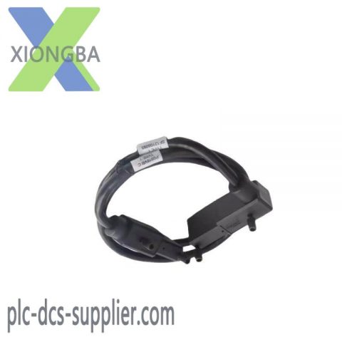 Foxboro P0916VB Terminal Cable; Manufacturer: FOXOBORO