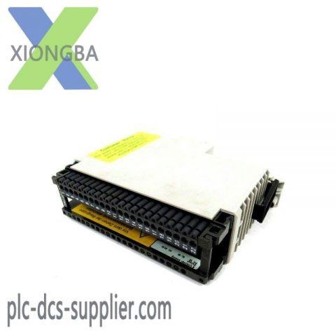 Schneider Electric AS-BDAU-204 Analog Output Module - Industrial Control Precision