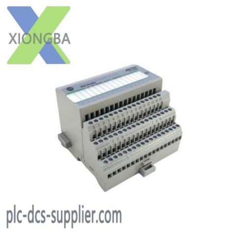 Allen Bradley 1794-OB16P - Digital DC Output Module for Industrial Control Systems