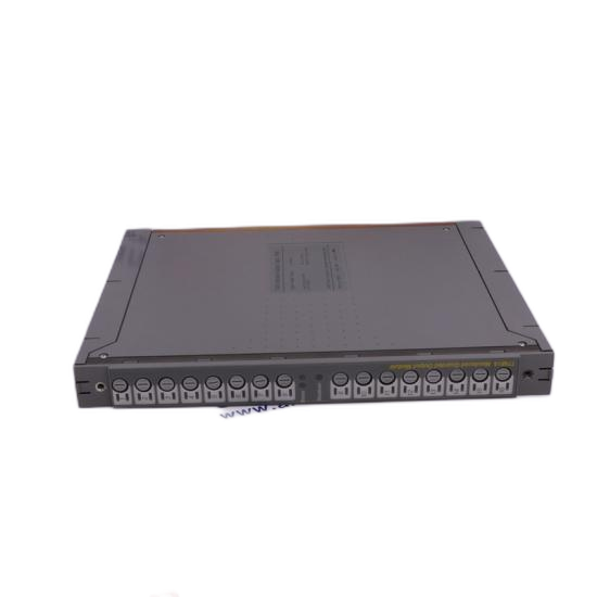 bently_nevada_3300_16-03-01-00-01-00-00_1.png Bently Nevada 3300/16-03-01-00-01-00-00