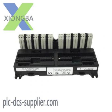 GE-FANUC IC670CHS002: High-Performance Compact System Module