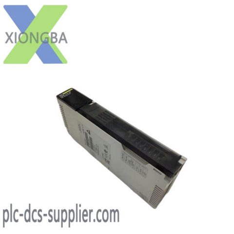 Schneider Electric 140CPS11410 Power Supply Module