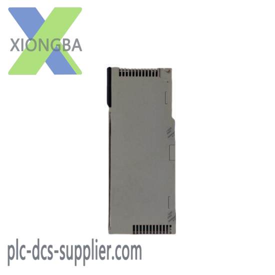 140cps51100_schneider_140cps51100.jpg Schneider Electric 140CPS51100 Power Supply Module
