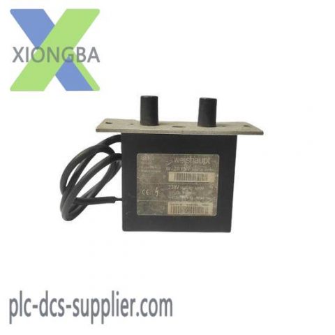 BERU W-ZG 02/V Ignition transformer, Engine Control Modules