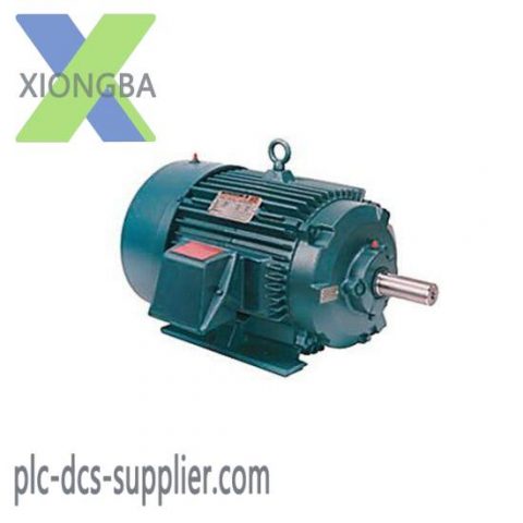 Bachmann CM202 Motor - High-Performance CANopen Master Module