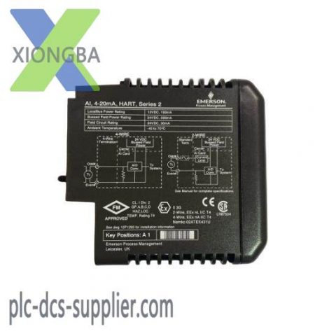Emerson VE4003S2B2 | DeltaV Analog Input Module