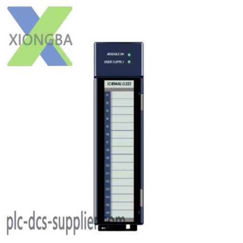 GE FANUC IC694ALG223 Digital I/O Module, 200 Characters or Less