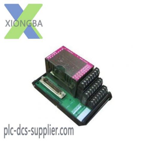 Foxboro P0916AE: Advanced I/A Series Control Module