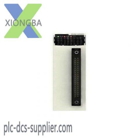Schneider Modicon X80 BMXDDM3202K Discrete Mixed IO Module