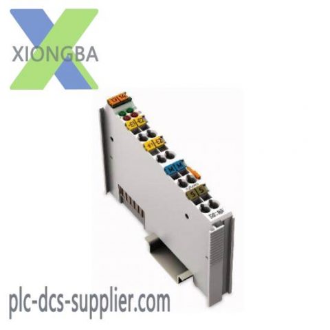 WAGO 750-452/006-000: Dual-Channeled Analog Input Module for Industrial Automation