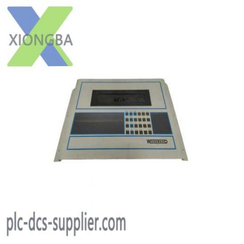 WOODWARD 5453-203: Advanced 2-Line Display Operator Interface Panel