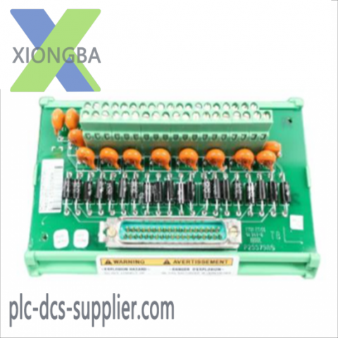 WOODWARD 5466-318 Micronet Timer Plus Kernel PS Module