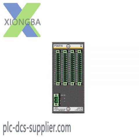 Bachmann PTAI216 Temperature Input Module - Precise Industrial Control Solutions