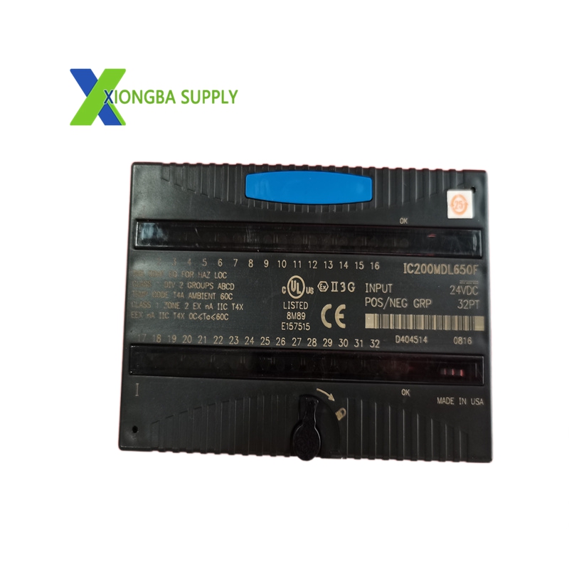 IC200ALG264H (2)