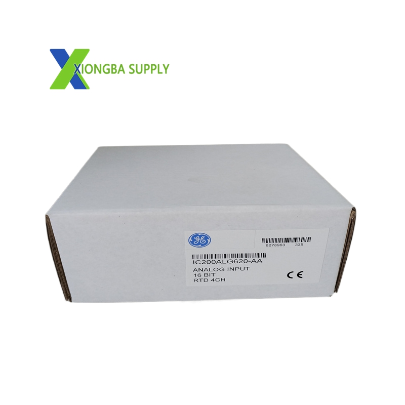 IC200ALG620 (2)