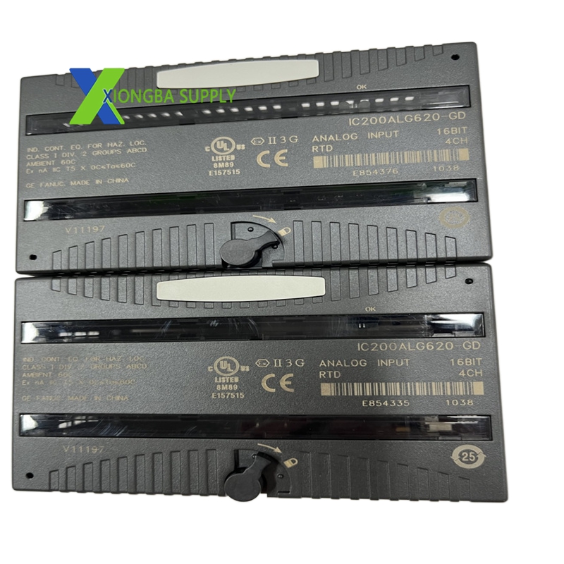 IC200ALG620 (3)