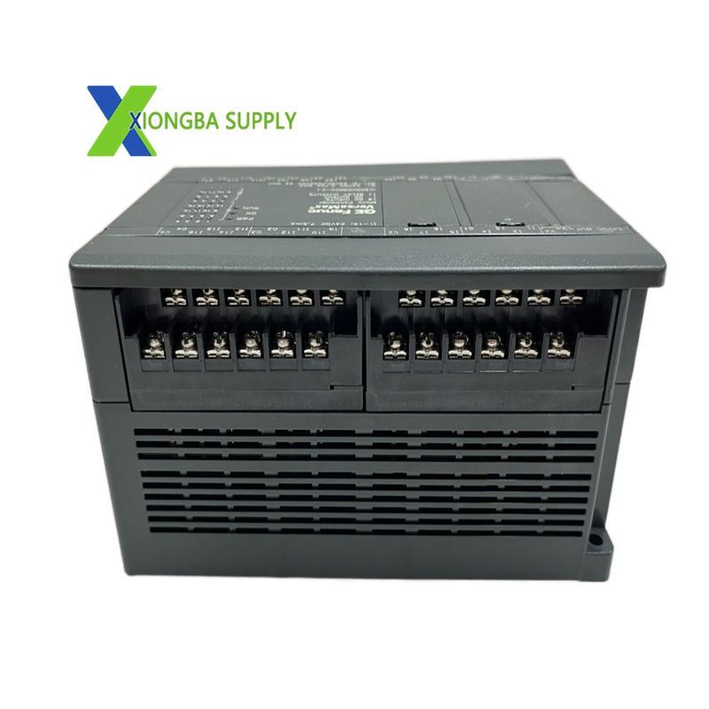 IC200UDR005 (6)